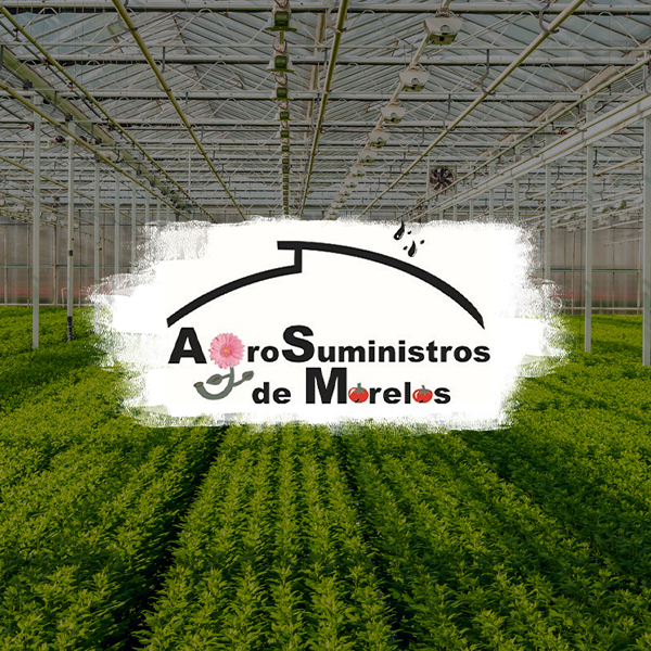 AGROSUMINISTROS DE MORELOS